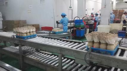 市投促局赴上海考察取得积极成果，四项目达成技术咨询共识