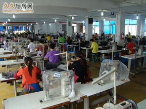 潘郎鞋厂整体招租及转让 厂房设备齐全，技术同步转移